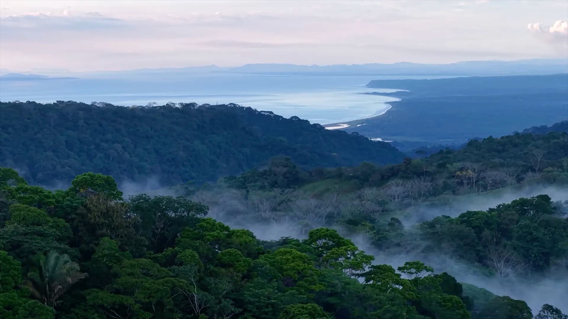 Aerial view of the Soltara sanctuary surrounded by coastline and rainforest