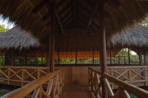 ayahuasca retreat costa rica