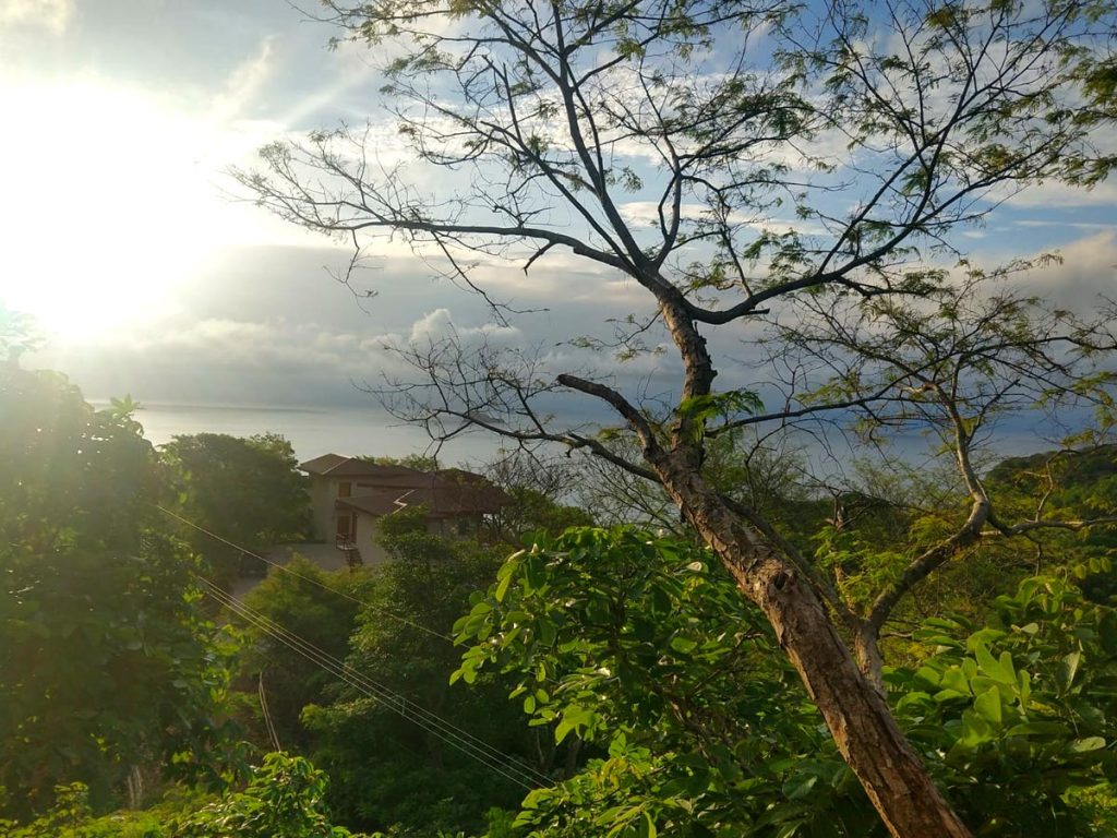 CanopySuite19 AllInclusive Ayahuasca Costa Rica Retreats