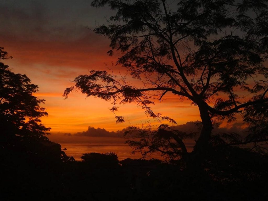 CanopySuite20 ayahuasca retreat