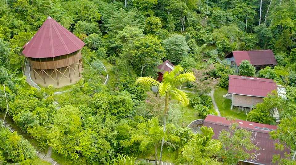 ayahuasca retreat in peru
