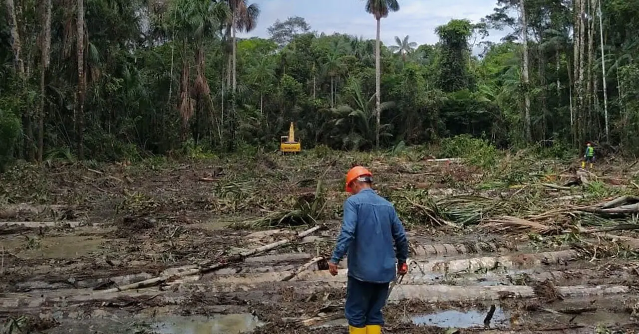 Why our future depends on the Amazon more than you think