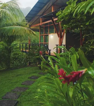 ayahuasca retreat