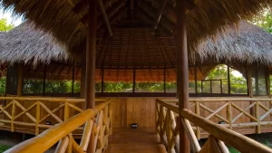 ayahuasca retreat