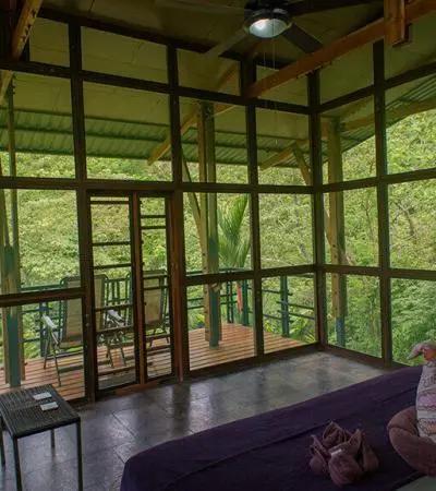 ayahuasca retreat