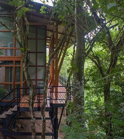 TreeHouseLofts-06