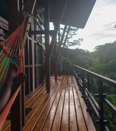 ayahuasca retreat