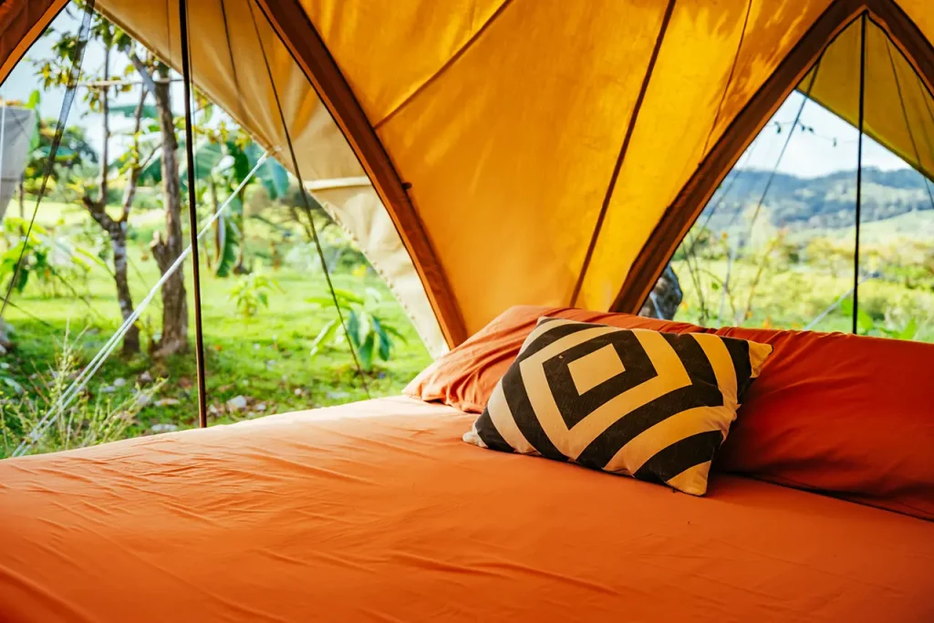 HOLOS_JAN23-149 copy