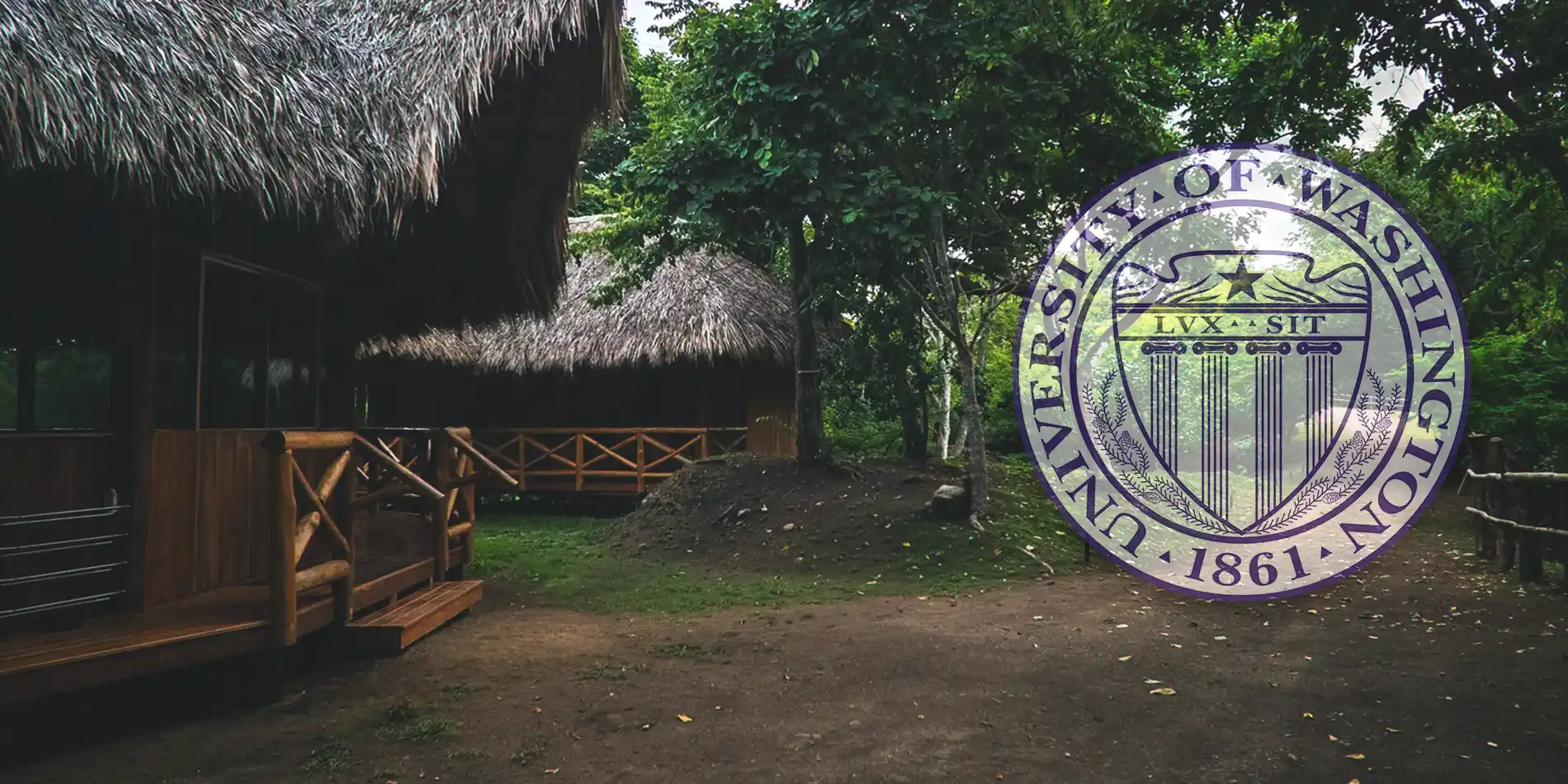 New Psychedelic Scientific Research Partnership